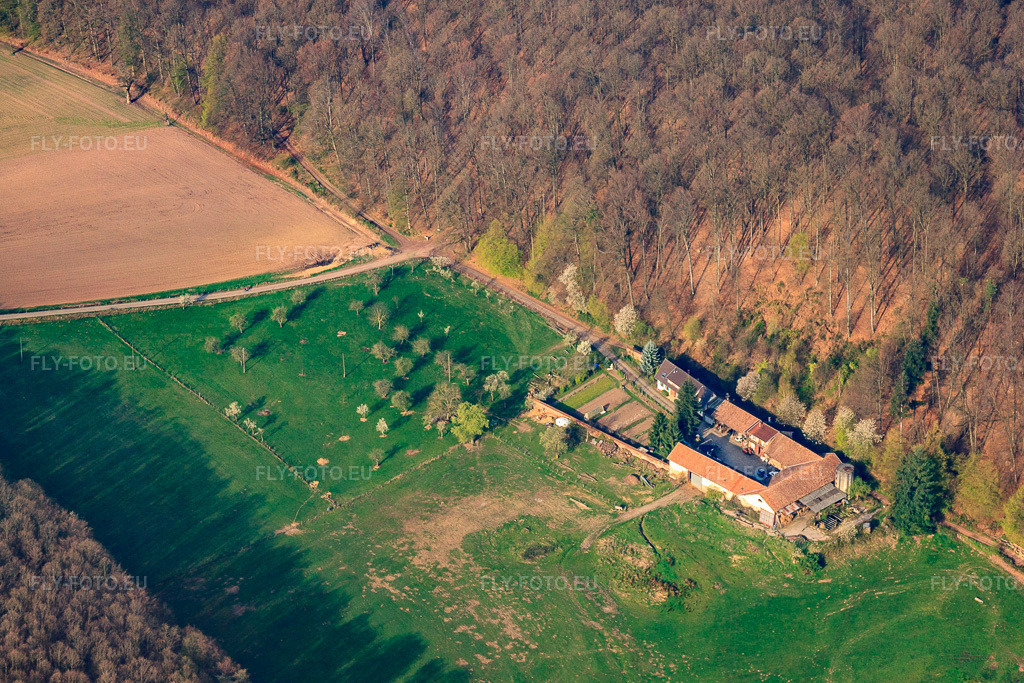 Vue aérienne: Ferme Mellon et Villa Le Riesack à Niederbronn-les-Bains dans le département Bas Rhin, France.Photo: IMG_63709.jpg prise le 30/03/2014 par Werner Riehm/FLY-FOTO.euRésolution de l'original: 4551 x 3034 pxFerme Mellon - Restaurant et chambres d'hôtesGite de groupe en Alsace. Fetes de famille. Villa le Riesack. Capacit\xc3\xa9: 30 \xc3\xa0 50 Personnes