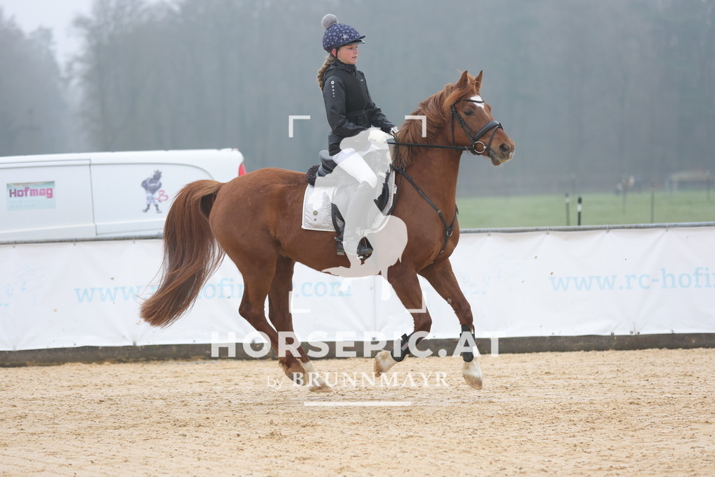 0P6A8224 | Willkommen bei Brunnmayr - Design & Fotografie – Ihrem Spezialisten für Reitturniere und Pferdeveranstaltungen in Oberösterreich, Salzburg und Bayern! Seit über 17 Jahren sind wir leidenschaftlich dabei.