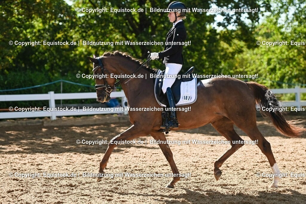 20230715_06_Dressurpferdeprfg. Kl.A_0430 | equistock