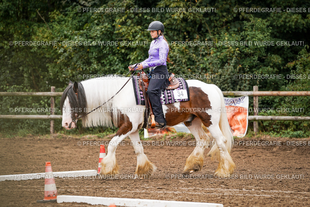 DSC03429 | Pferdegrafie