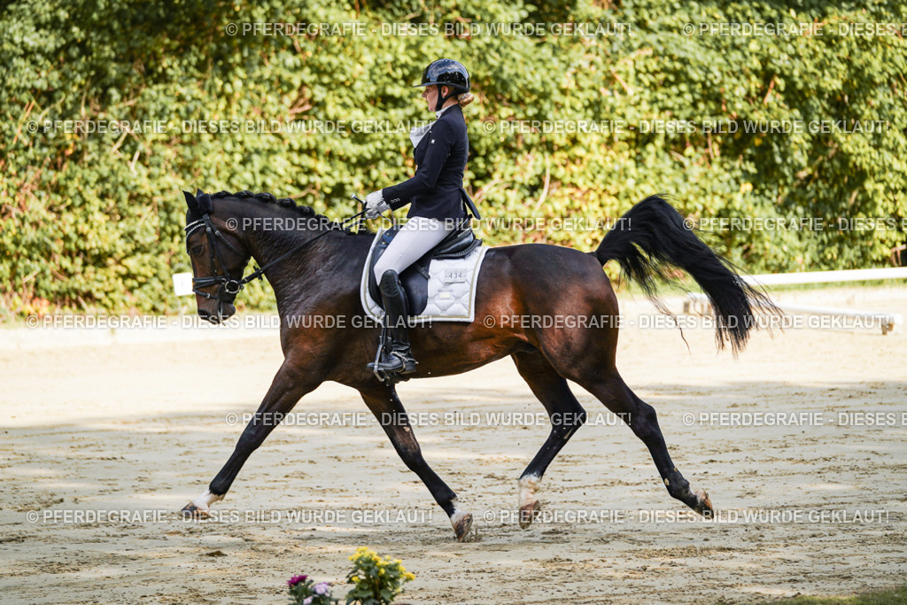 DSC07814 | Pferdegrafie