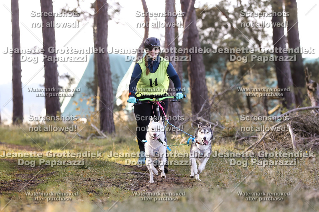 Dog Paparazzi - Elsholz 25 -75 | Dog Paparazzi Jeanette Grottendiek Fotografie & Videografie - Realisiert mit Pictrs.com