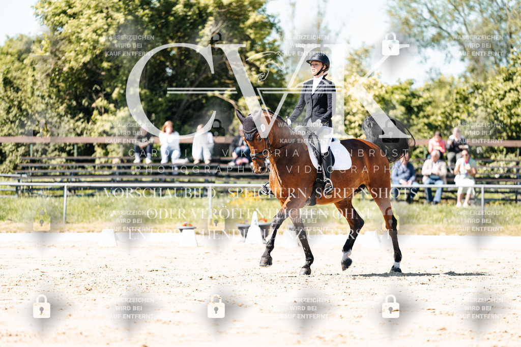 CK905148 | Turnierfotografie Pferdefotografie Trier Rheinland-Pfalz Pferdesport Reitsport Tierfotografie Sportfotografie Pferdevideo Pferdevideografie Equestrianvideography equestrianphotography  - Realisiert mit Pictrs.com