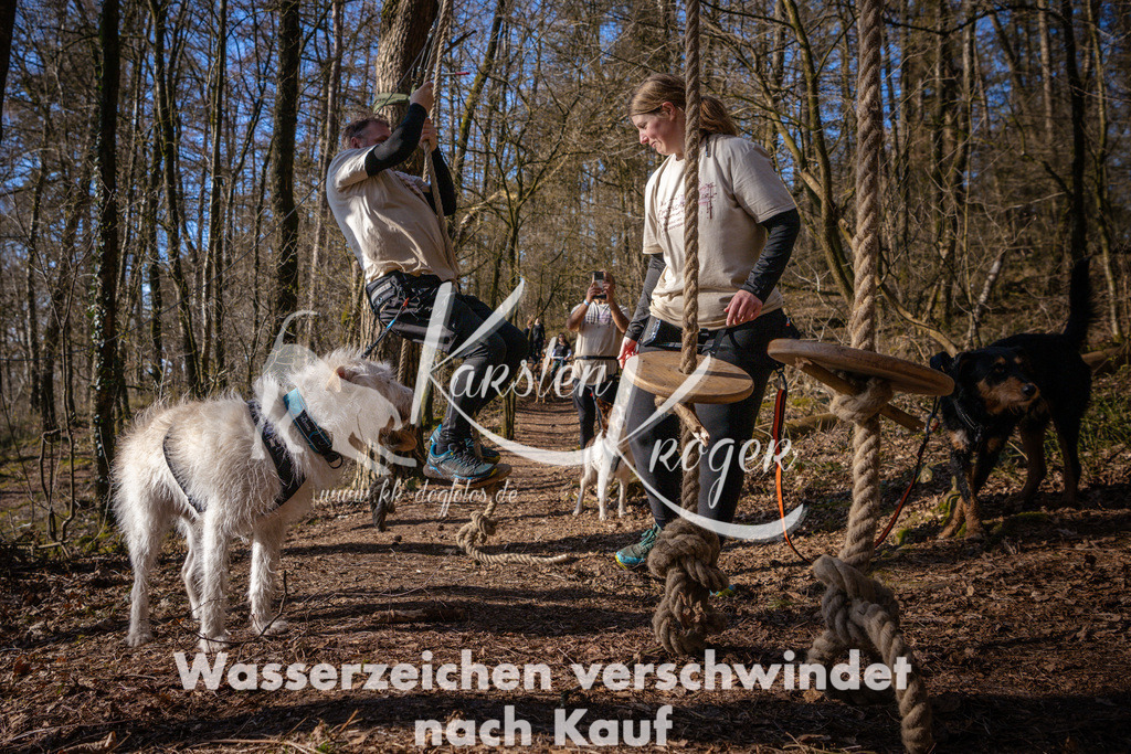 0912_ZZ96593 | kk-dogfotos