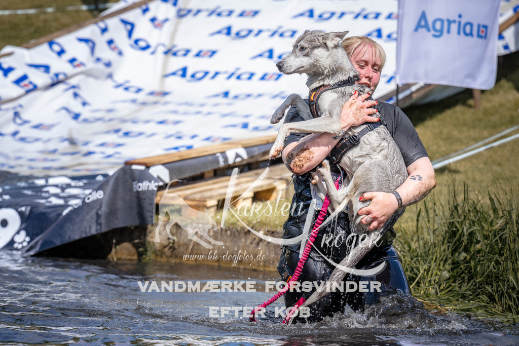 _ZZ935410940 | kk-dogfotos