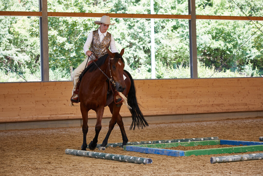 2020_07_19 Schweizersbild 163 | Peter Fridle Fotografie - Realisiert mit Pictrs.com