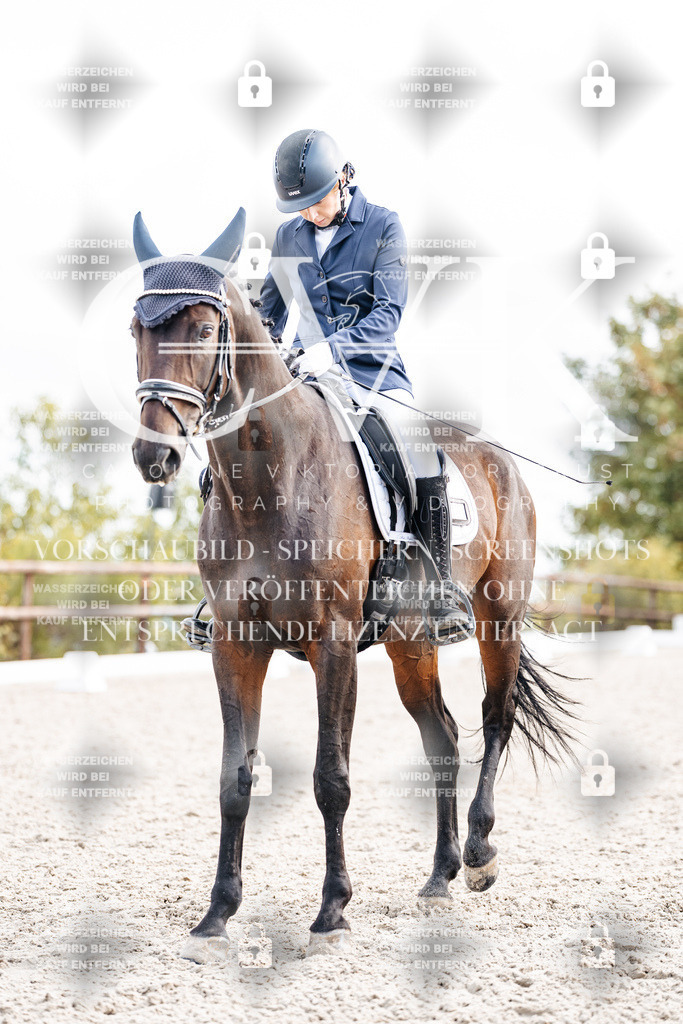 CK901503 | Turnierfotografie Pferdefotografie Trier Rheinland-Pfalz Pferdesport Reitsport Tierfotografie Sportfotografie Pferdevideo Pferdevideografie Equestrianvideography equestrianphotography  - Realisiert mit Pictrs.com