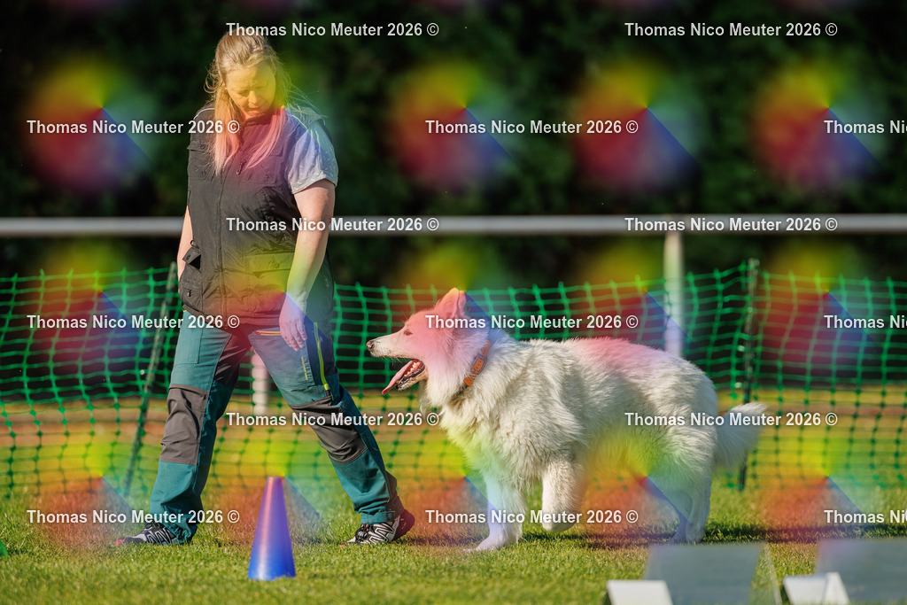 Thomas_Nico_Meuter(C)_04. Oktober 2026_223A4137 | Bild von Thomas Nico Meuter - Realisiert mit Pictrs.com