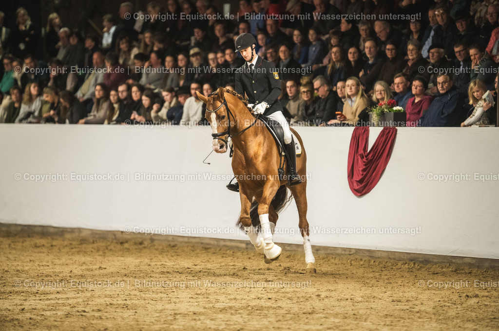 20240302_Hengstvorstellung_Marbach_TOMsPiC_0537-2 | equistock
