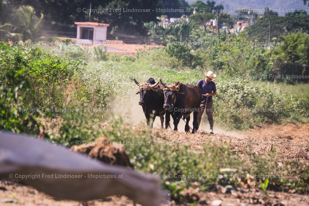 Kuba 2016-04310 | Fotos und Fotoprodukte - Realisiert mit Pictrs.com