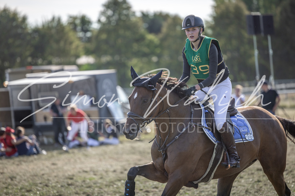 20250907-_3LI4095 | Tierfotografie Pferde, Hunde, Katzen, Haustiere.
Turnierfotografie Reitturniere, Reiten, Springreiten, Dressur in Hanau, dem Main-Kinzig-Kreis und dem Rhein-Main- Gebiet um Frankfurt