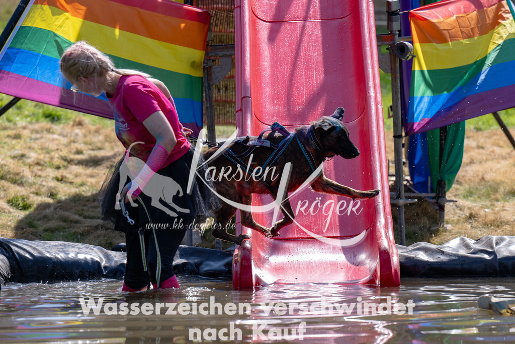 1414_ZZ94029 | kk-dogfotos