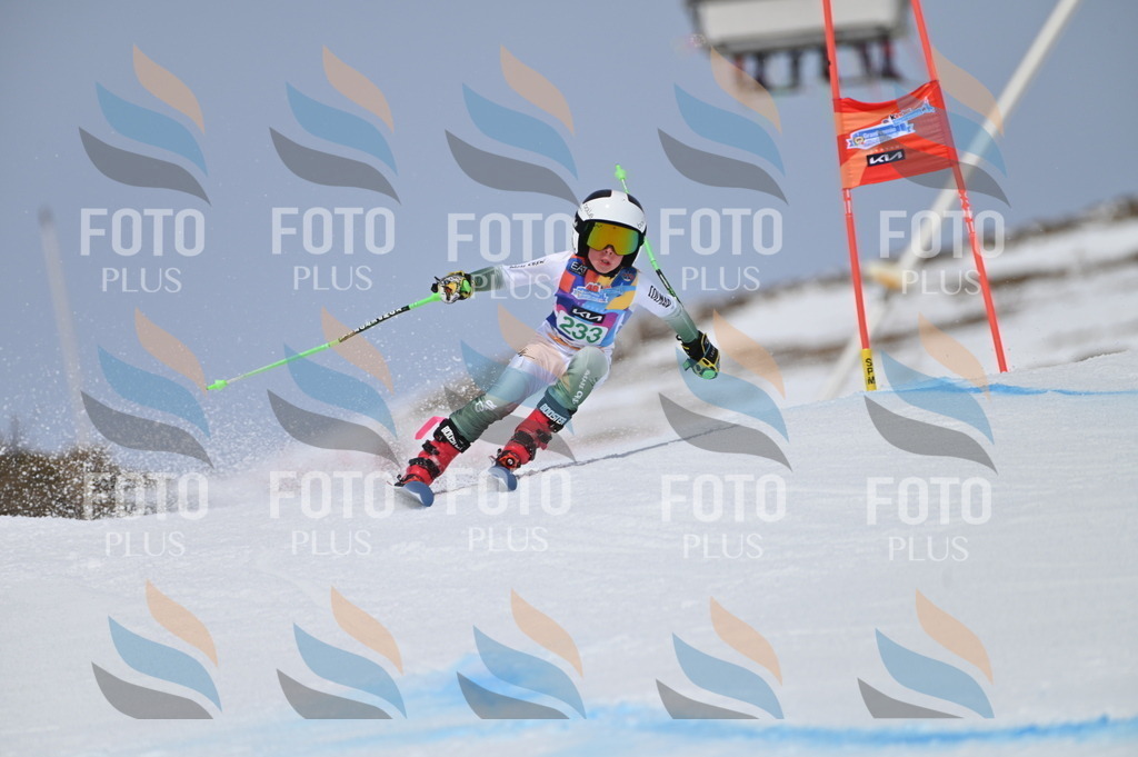 BGV_4615 | holidayphoto