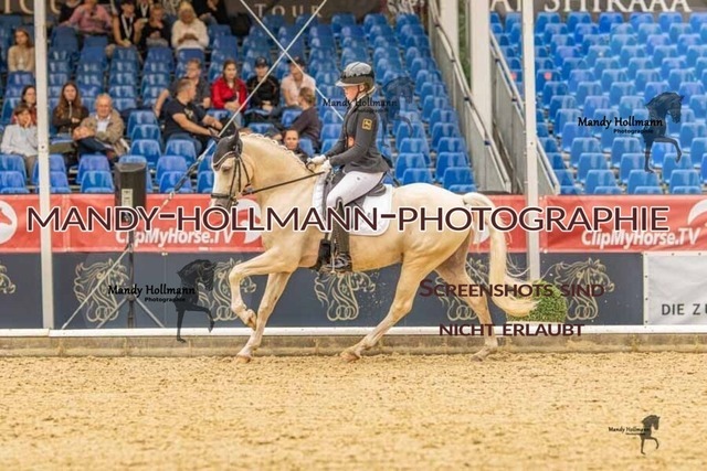 28-8-26 5j DRE-785 | mandyhollmannphotographie