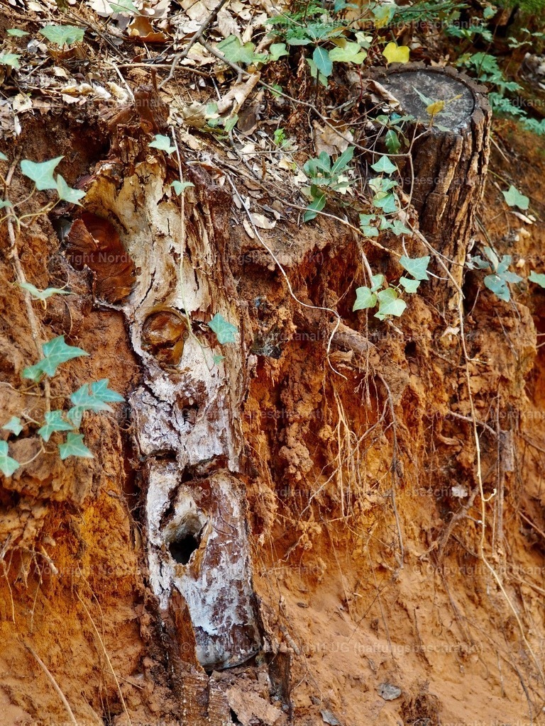 IMG_2919 | OLYMPUS DIGITAL CAMERA          - Realisiert mit Pictrs.com