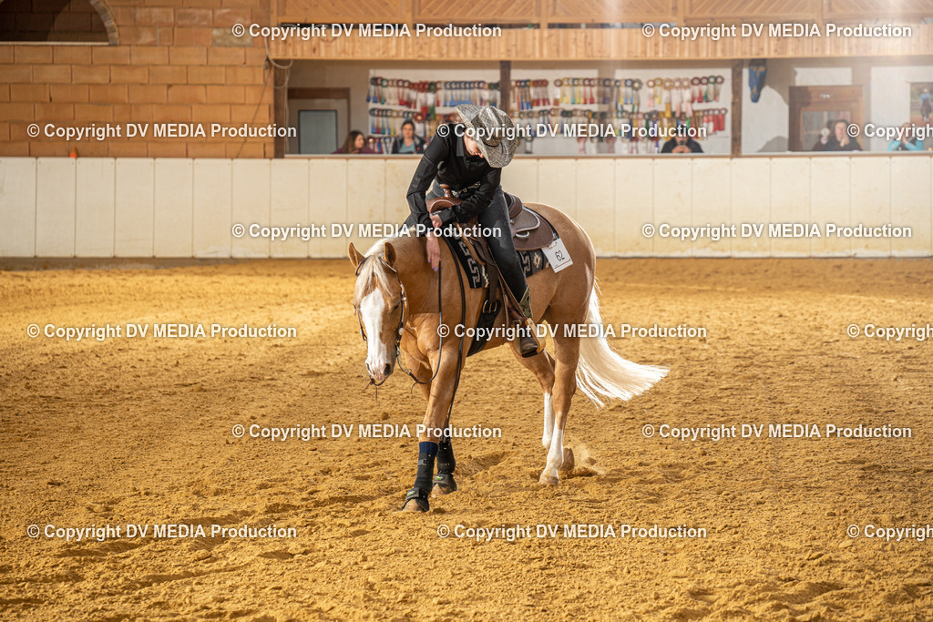 MIT00685 | dv-media-shop - Realisiert mit Pictrs.com