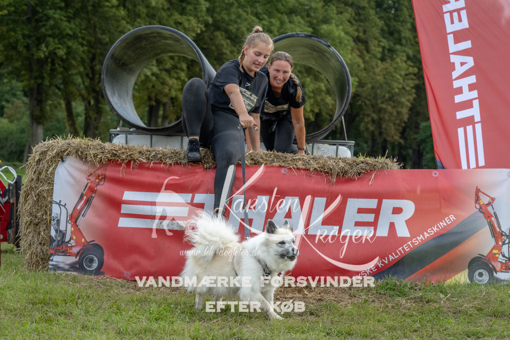 1046_ZZ93149 | kk-dogfotos