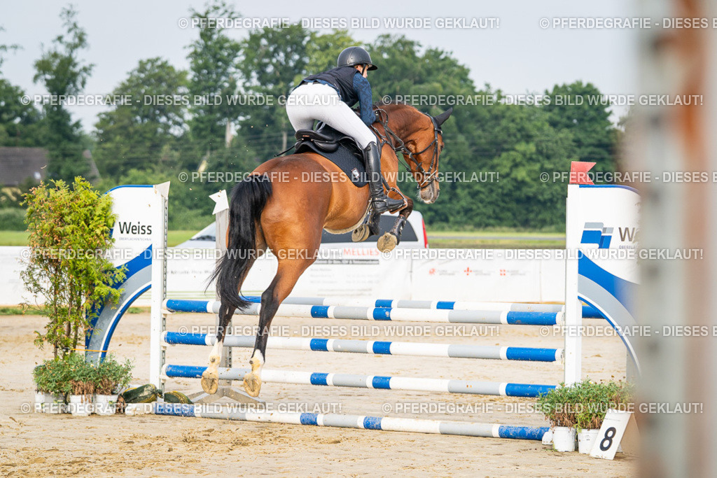 DSC08388 | Pferdegrafie