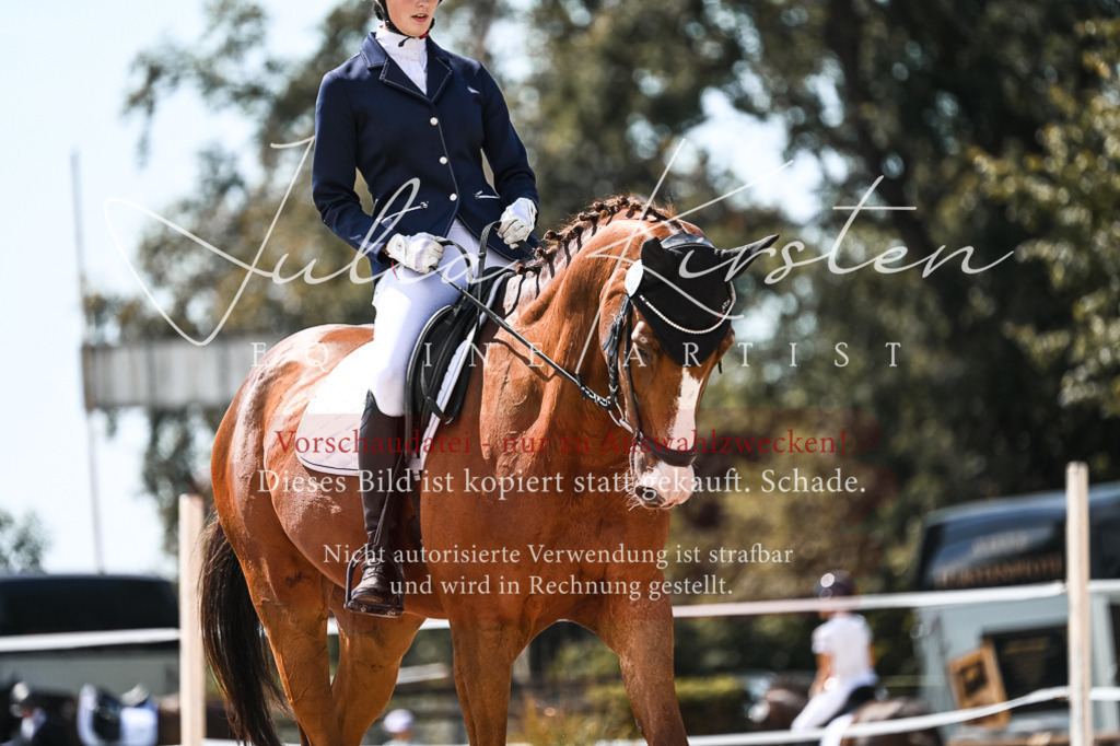 DSC_5524 | Pferde- und Turnierfotografie in Westsachsen. Pferdeportraits, Auftragszeichnungen und intuitive Kunst.