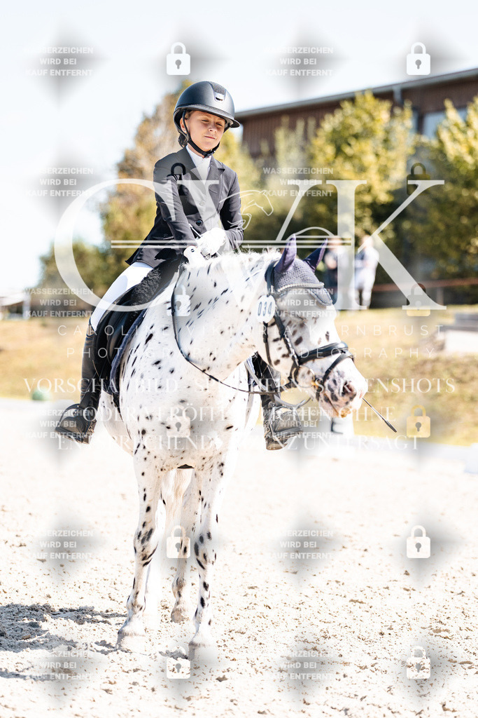 CK904202 | Turnierfotografie Pferdefotografie Trier Rheinland-Pfalz Pferdesport Reitsport Tierfotografie Sportfotografie Pferdevideo Pferdevideografie Equestrianvideography equestrianphotography  - Realisiert mit Pictrs.com