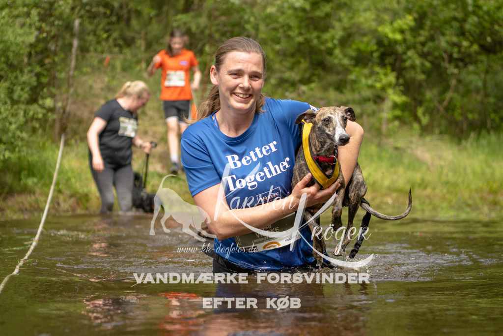 1121DKK994986 | kk-dogfotos