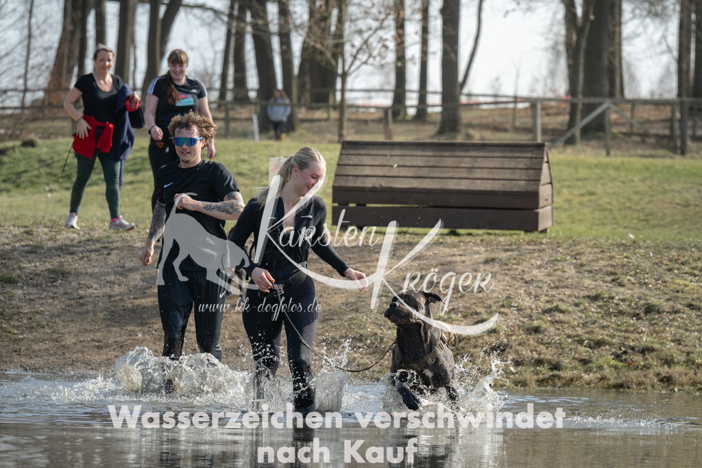 1309_ZZ94879 | kk-dogfotos