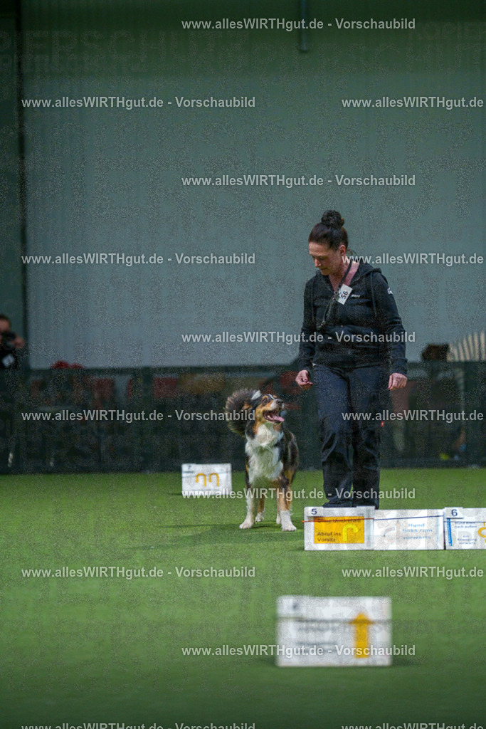 7R506918 | Professionelle Tierfotografie in Mönchengladbach von Daniel Wirth (allesWIRTHgut). Liebevolle & natürliche Bilder von Hunden & Katzen für unvergessliche Erinnerungen.