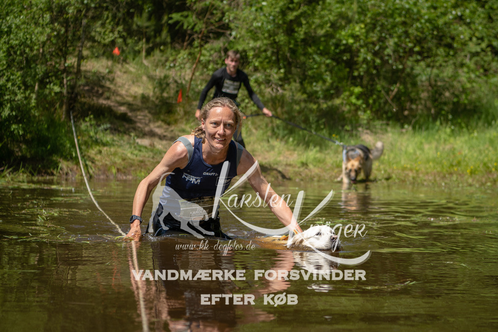 1303DKK993849 | kk-dogfotos