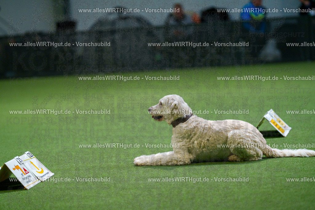 7R500802 | Professionelle Tierfotografie in Mönchengladbach von Daniel Wirth (allesWIRTHgut). Liebevolle & natürliche Bilder von Hunden & Katzen für unvergessliche Erinnerungen.