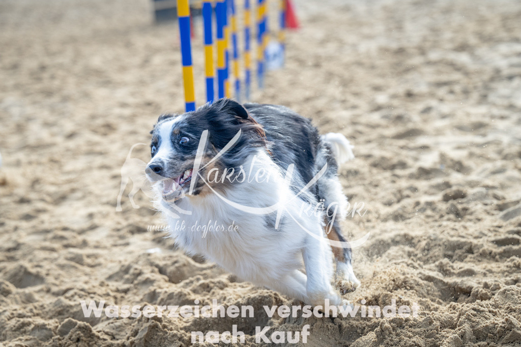 0958_ZZ93226 | kk-dogfotos