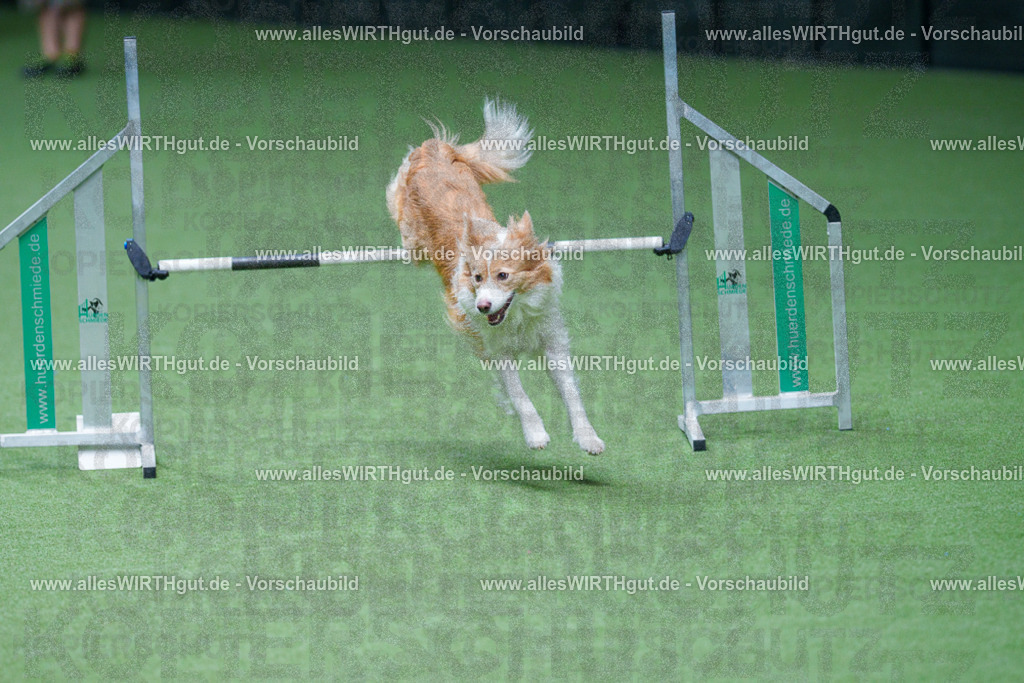 @allesWIRTHgut_Tierfotografie - www.allesWIRTHgut.de - 2604261004-7R508342 | Professionelle Tierfotografie in Mönchengladbach von Daniel Wirth (allesWIRTHgut). Liebevolle & natürliche Bilder von Hunden & Katzen für unvergessliche Erinnerungen.