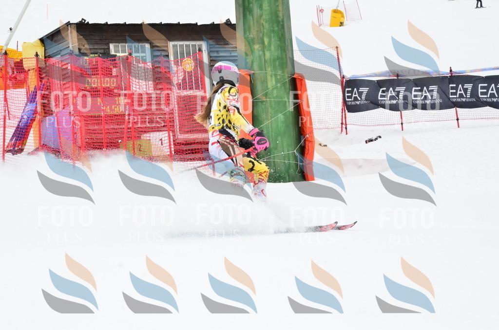 _ELE3546 | holidayphoto