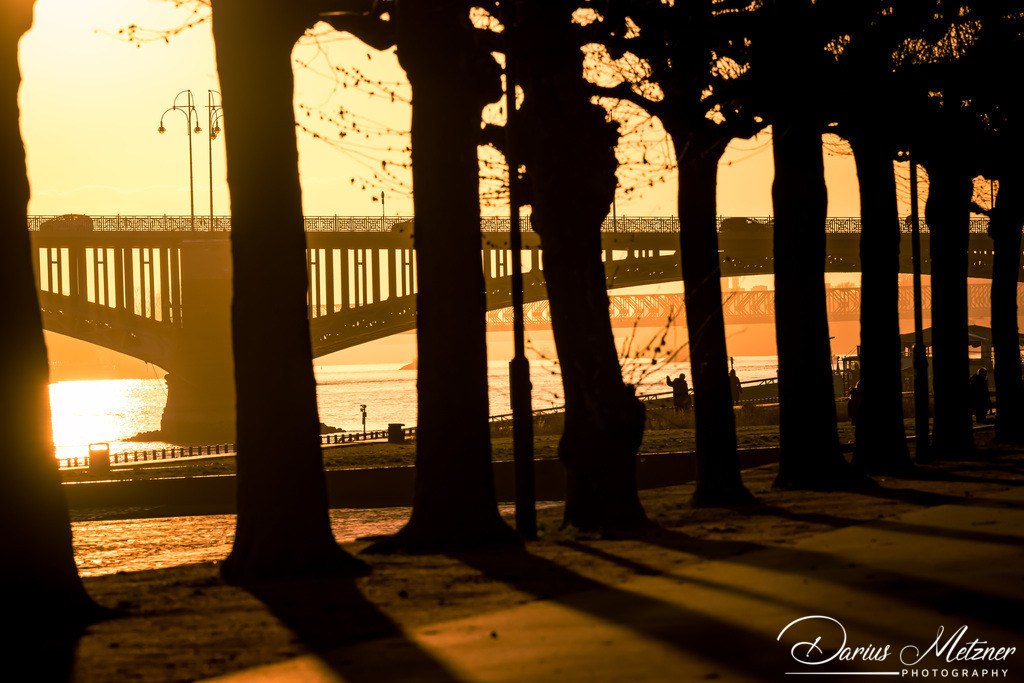 Die Theodor-Heuss-Brücke in Mainz | Fotografien, Fotos und Bilder aus Mainz, Frankfurt, Wiesbaden und anderen Orten auf der Welt - Fotografiert von Darius Metzner