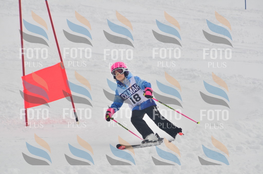 A5136 | holidayphoto