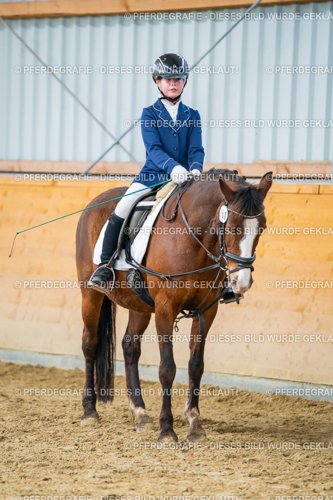 DSC01133 | Pferdegrafie