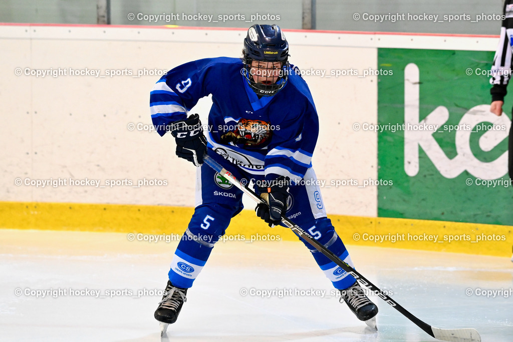  EC Tigers Paternion vs. EC Virgen 8.1.2022 | #9 Gratzer Julian