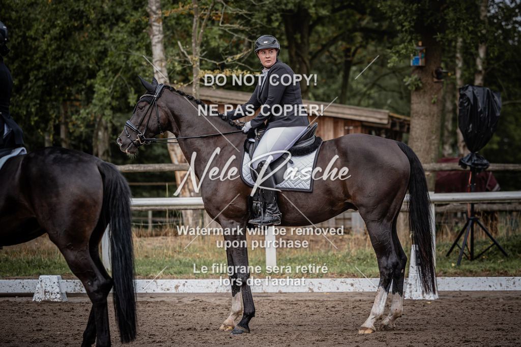 nelerasche_DrEEde_41 | nelerasche