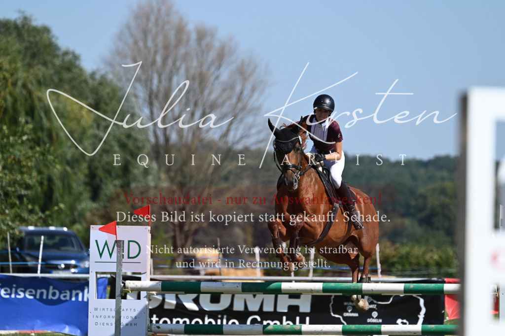 DSC_6420 | Pferde- und Turnierfotografie in Westsachsen. Pferdeportraits, Auftragszeichnungen und intuitive Kunst.