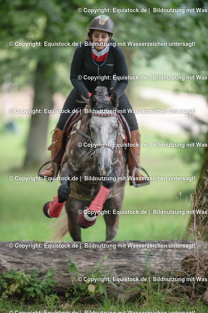 20250726_Vielseitigkeitslehrgang-Marbach_0194 | Foto: Thomas Hartig