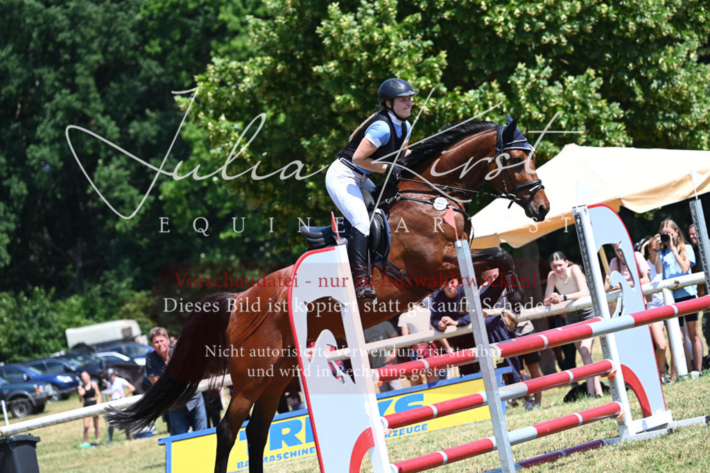 DSC_0663 | Pferde- und Turnierfotografie in Westsachsen. Pferdeportraits, Auftragszeichnungen und intuitive Kunst.