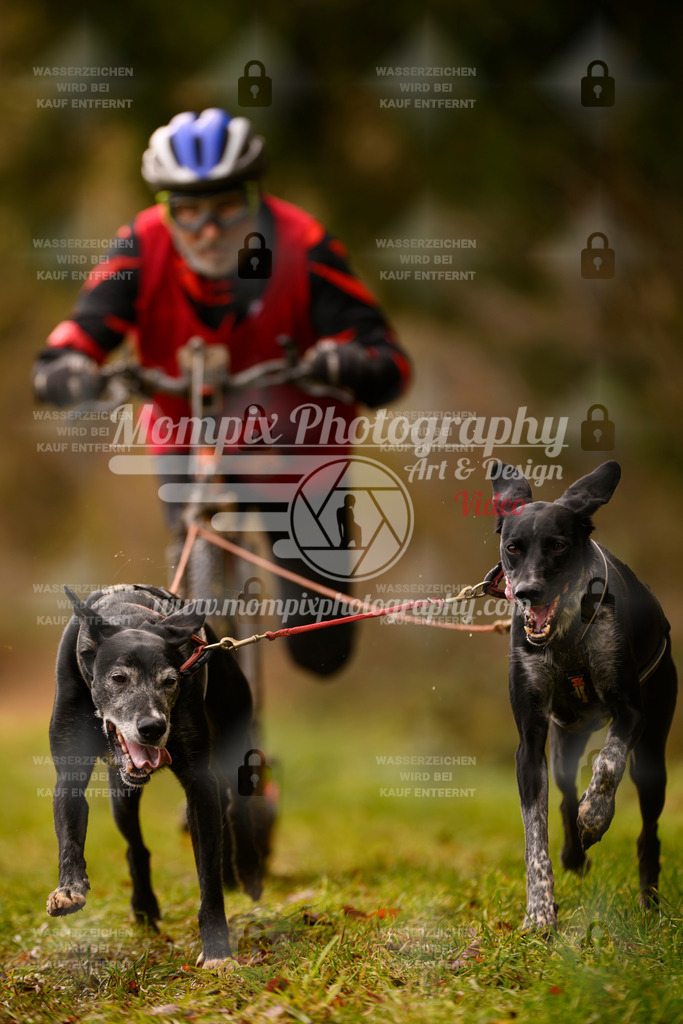 MompixPhotography_2SSTSSBW_2025_SO_Scooter-75 | PayLife