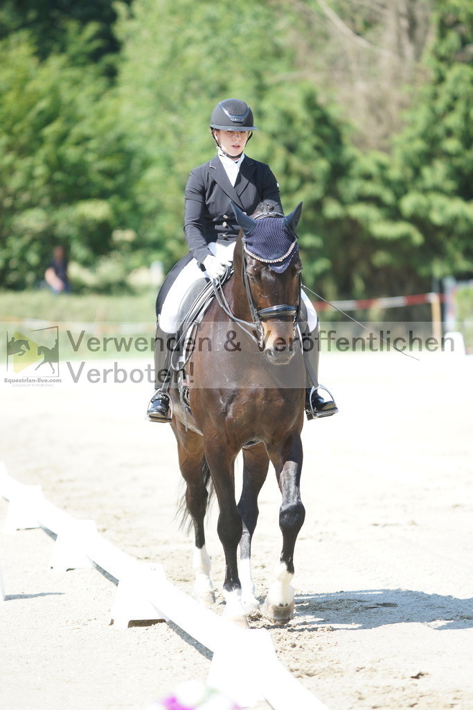DSC03086 | equestrian-live-com