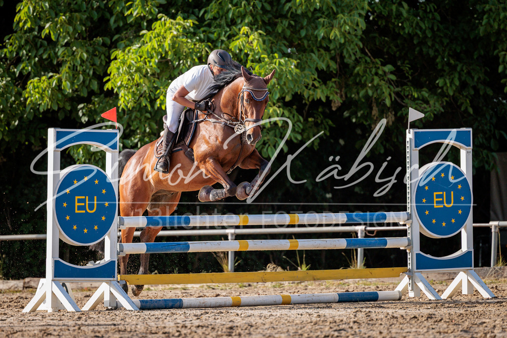 20260529-_3LI0446 | Tierfotografie Pferde, Hunde, Katzen, Haustiere.
Turnierfotografie Reitturniere, Reiten, Springreiten, Dressur in Hanau, dem Main-Kinzig-Kreis und dem Rhein-Main- Gebiet um Frankfurt