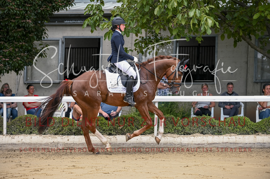 Schugtsche-Aluta25-48.Reitpferfdeprf.-163 | Schugtsche Fotografie - Realisiert mit Pictrs.com