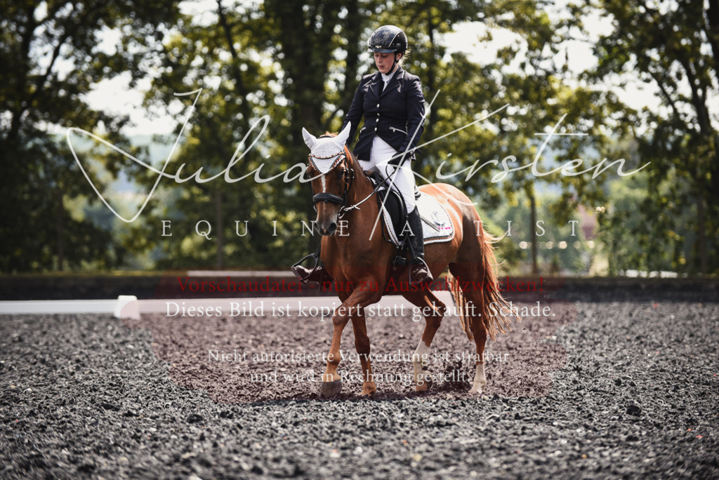 DSC_4232 | Pferde- und Turnierfotografie in Westsachsen. Pferdeportraits, Auftragszeichnungen und intuitive Kunst.