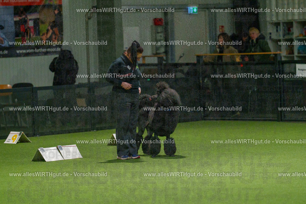 7R508854 | Professionelle Tierfotografie in Mönchengladbach von Daniel Wirth (allesWIRTHgut). Liebevolle & natürliche Bilder von Hunden & Katzen für unvergessliche Erinnerungen.