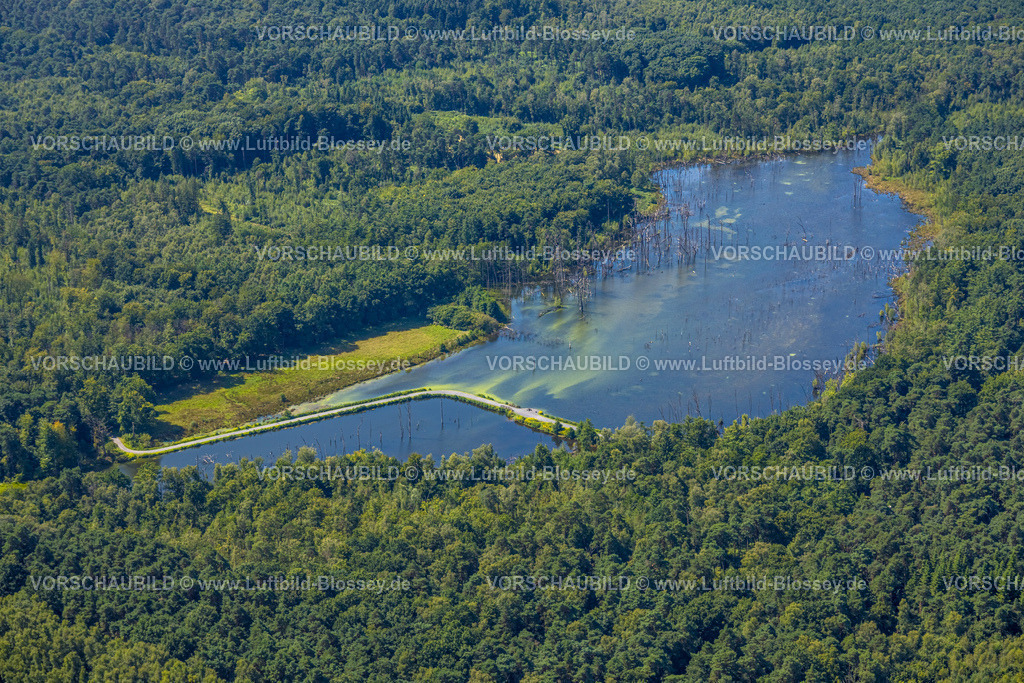 Bottrop250801352Kirchhellen | Luftbild, Kirchheller Heide, Elsbachsee (auch Pfingstsee) im Naturschutzgebiet NSG, Weg durch den See, Kirchhellen-Nord-West, Bottrop, Ruhrgebiet, Nordrhein-Westfalen, Deutschland