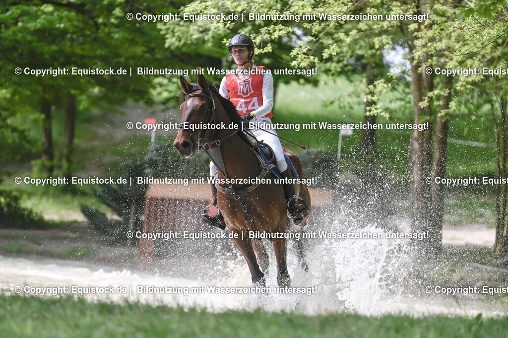 20250517_CCI2_Gelände_1122 | Foto: Thomas Hartig