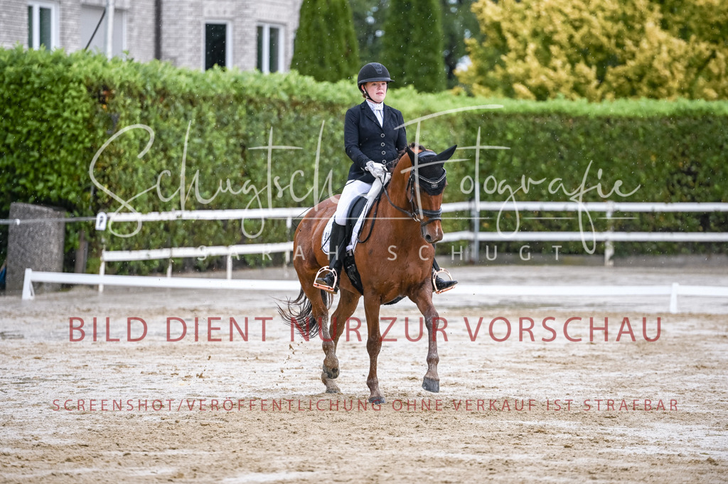 Schugtsche-Aluta25-55.Dressurreiterprf.L1Tr-250 | Schugtsche Fotografie - Realizzato con Pictrs.com