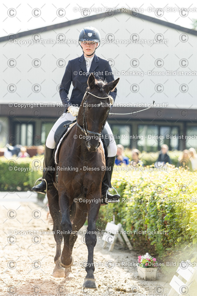 CL5A4405 | Emilia Reinking Fotografie - Realisiert mit Pictrs.com